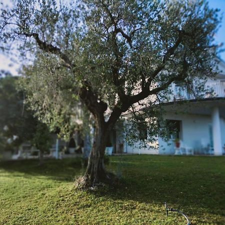 Villa Margherita サン・ジョヴァンニ・テアティーノ エクステリア 写真