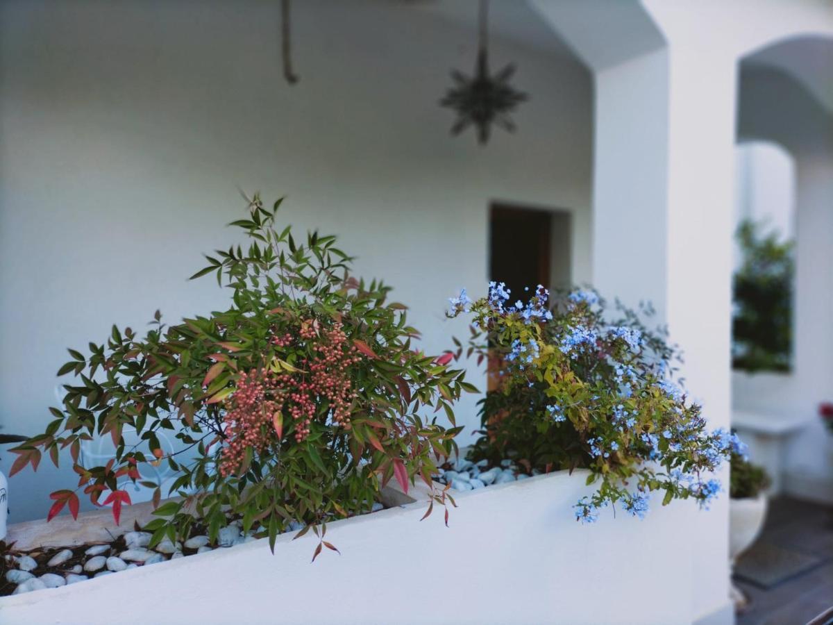 Villa Margherita サン・ジョヴァンニ・テアティーノ エクステリア 写真
